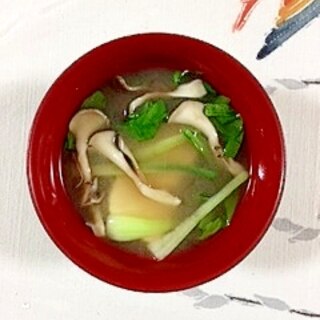 チンゲン菜と舞茸のお味噌汁